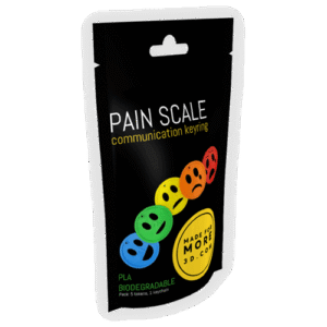 Pain Scale Keyring
